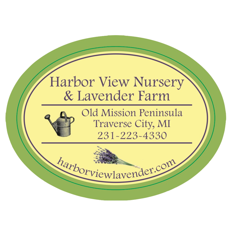 Harbor View Lavender