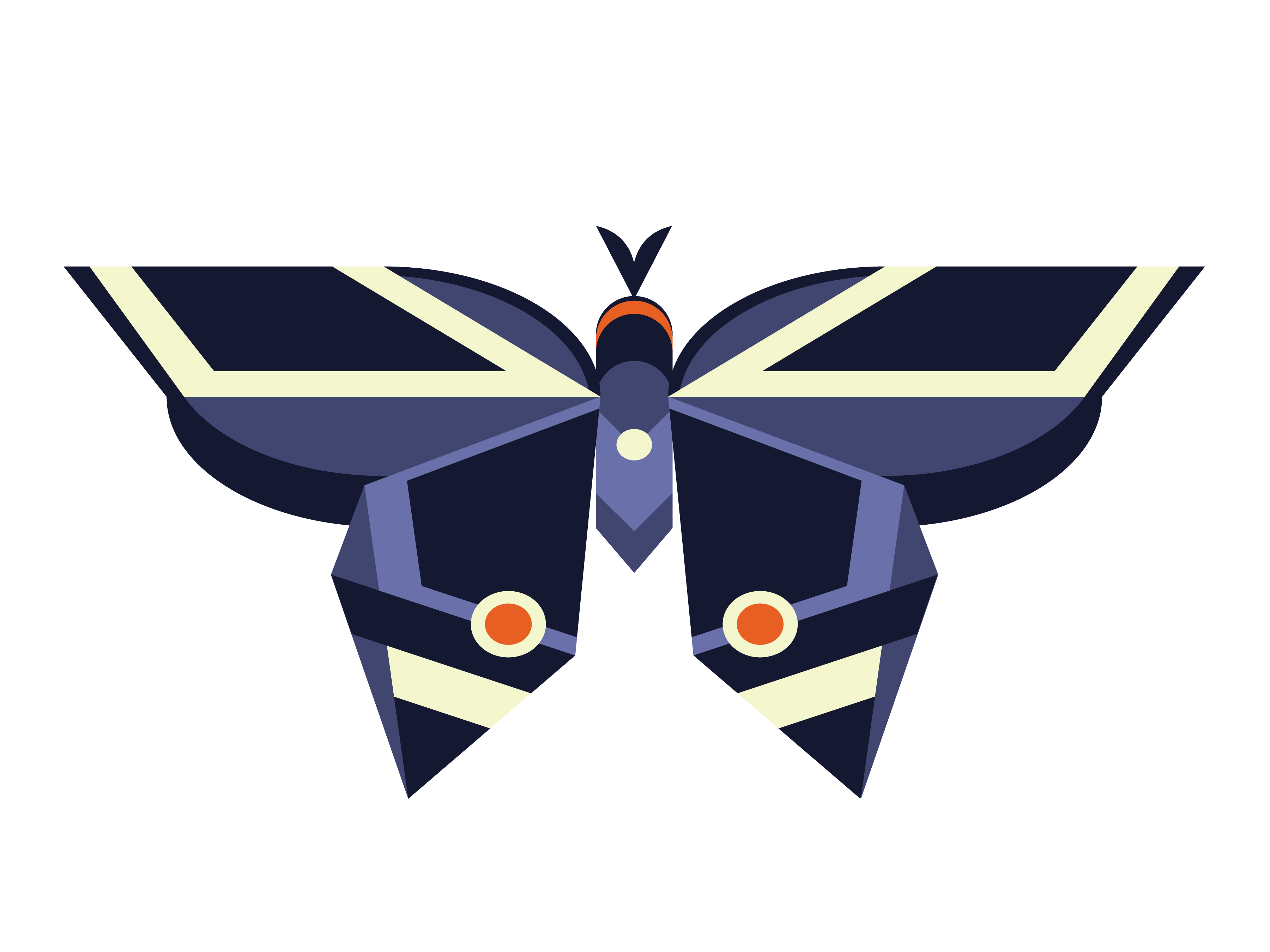 Swallowtail Design Co.