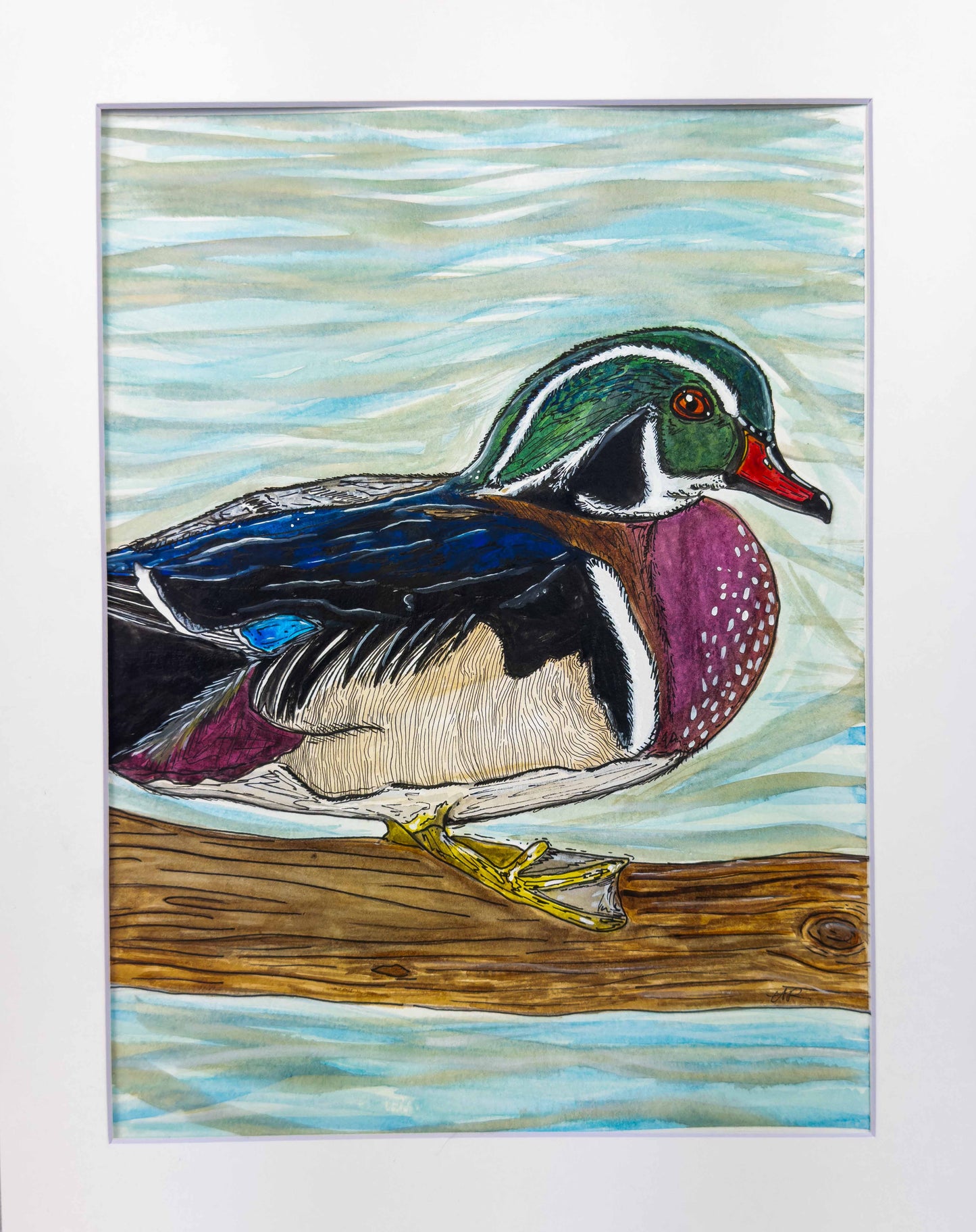 Wood Duck Original Watercolor